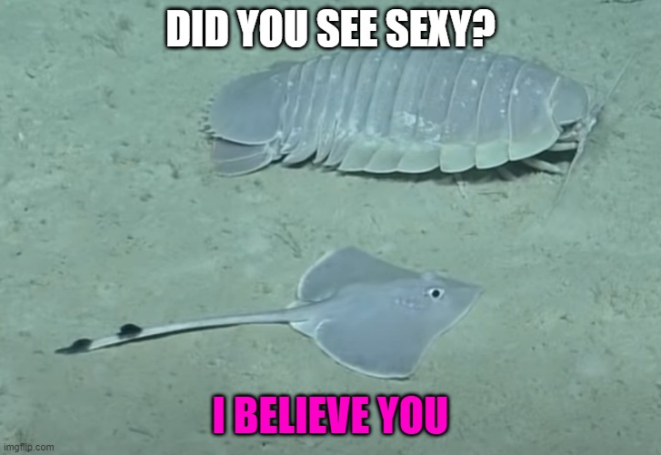 jerry and guy | DID YOU SEE SEXY? I BELIEVE YOU | image tagged in jerry and guy | made w/ Imgflip meme maker