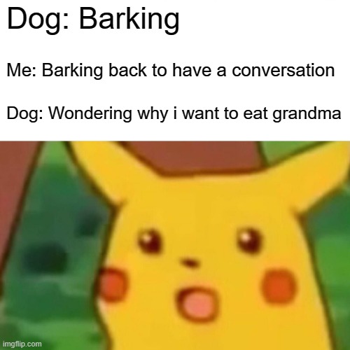 Surprised Pikachu Meme | Dog: Barking; Me: Barking back to have a conversation; Dog: Wondering why i want to eat grandma | image tagged in memes,surprised pikachu | made w/ Imgflip meme maker