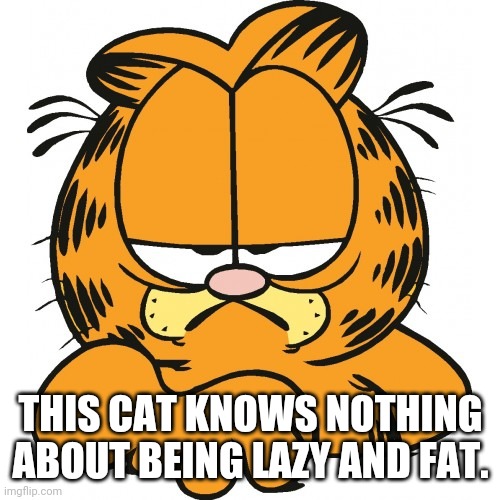 Garfield | THIS CAT KNOWS NOTHING ABOUT BEING LAZY AND FAT. | image tagged in garfield | made w/ Imgflip meme maker