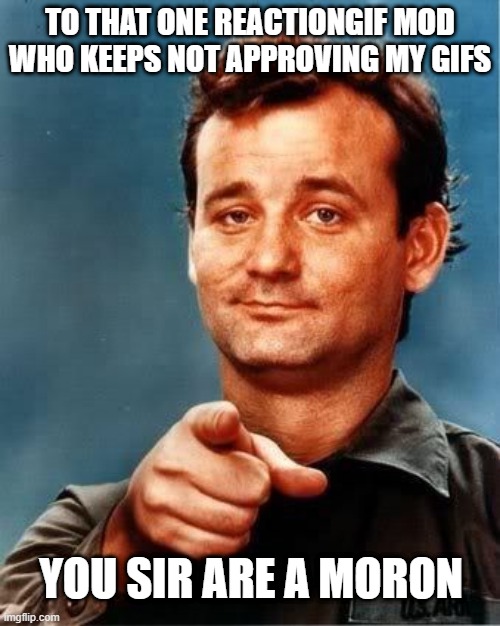 You Do Know What a REACTION is, right? | TO THAT ONE REACTIONGIF MOD WHO KEEPS NOT APPROVING MY GIFS; YOU SIR ARE A MORON | image tagged in you sir | made w/ Imgflip meme maker
