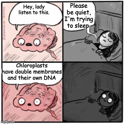 Interesting Organelle Fact | Please be quiet, I'm trying to sleep. Hey, lady listen to this. Chloroplasts have double membranes and their own DNA | image tagged in brain before sleep | made w/ Imgflip meme maker