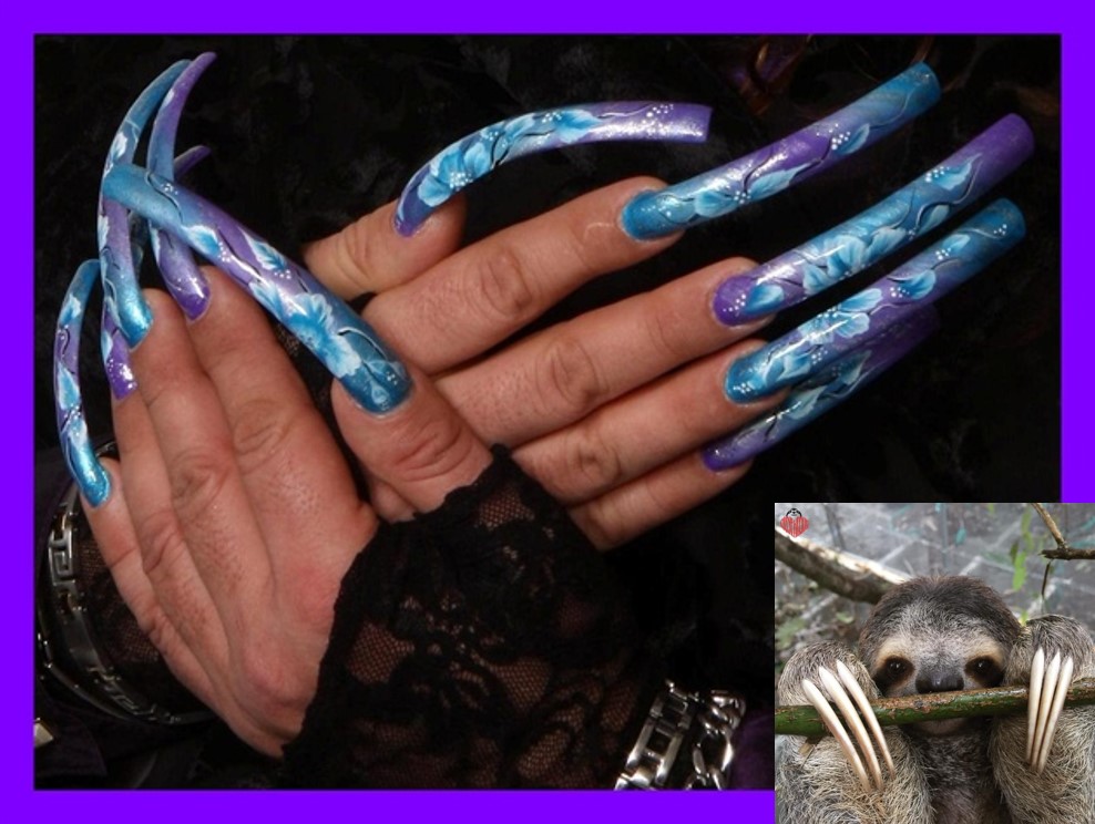 Sloth Claws Blank Meme Template