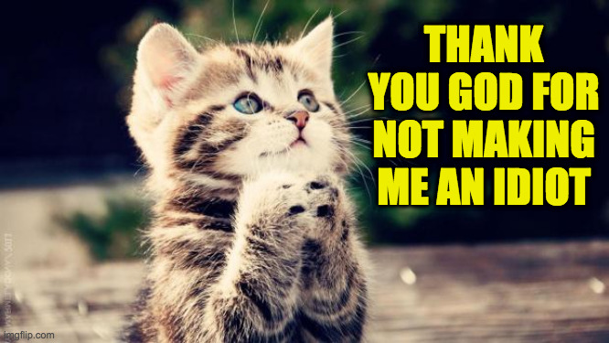 Well I'm an agnostic but I do feel grateful. | THANK YOU GOD FOR NOT MAKING ME AN IDIOT | image tagged in praying cat,memes,covidiots,grateful,cat memes | made w/ Imgflip meme maker