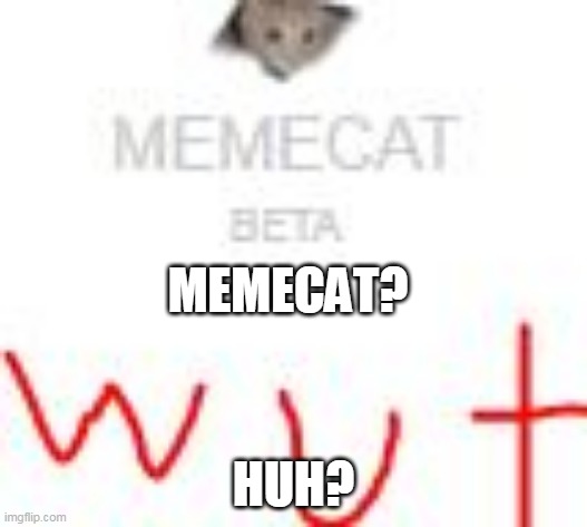 I accidentally delete "H" in memechat | MEMECAT? HUH? | image tagged in broken,oof,bruh | made w/ Imgflip meme maker