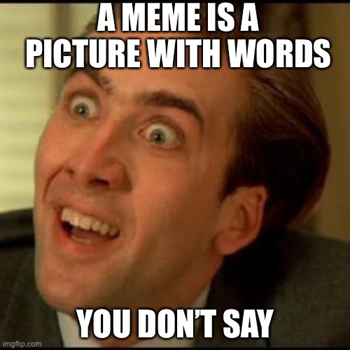 You dont say? | A MEME IS A PICTURE WITH WORDS; YOU DON’T SAY | image tagged in you dont say | made w/ Imgflip meme maker