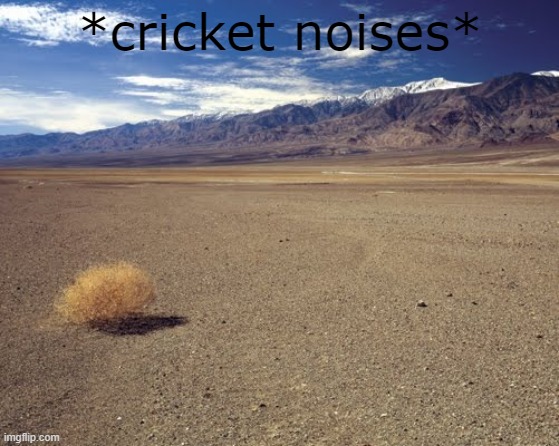 desert tumbleweed | *cricket noises* | image tagged in desert tumbleweed | made w/ Imgflip meme maker