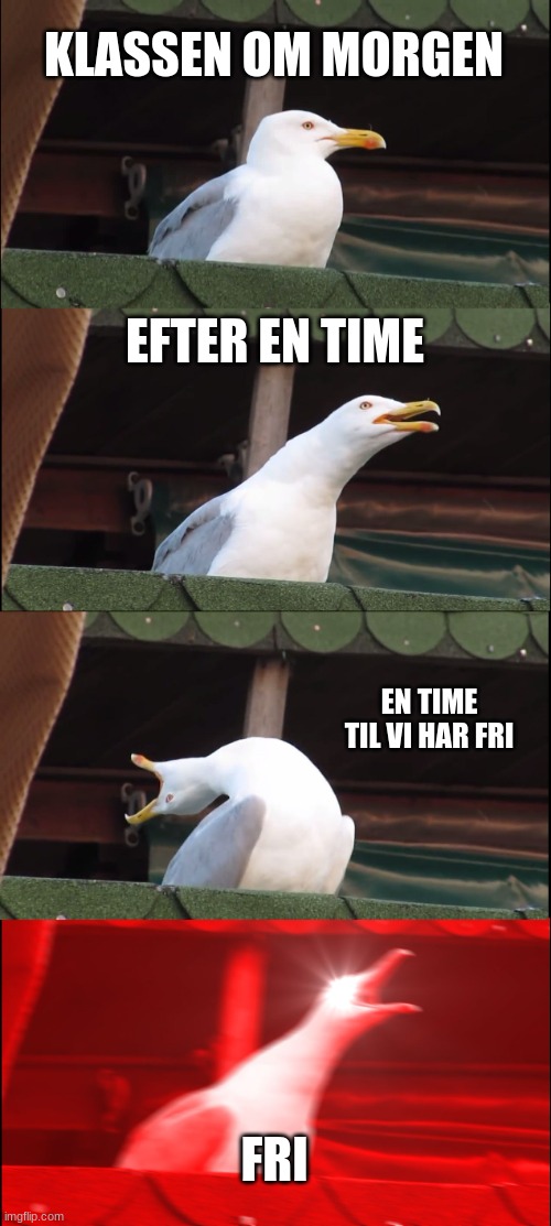 Inhaling Seagull | KLASSEN OM MORGEN; EFTER EN TIME; EN TIME TIL VI HAR FRI; FRI | image tagged in memes,inhaling seagull | made w/ Imgflip meme maker