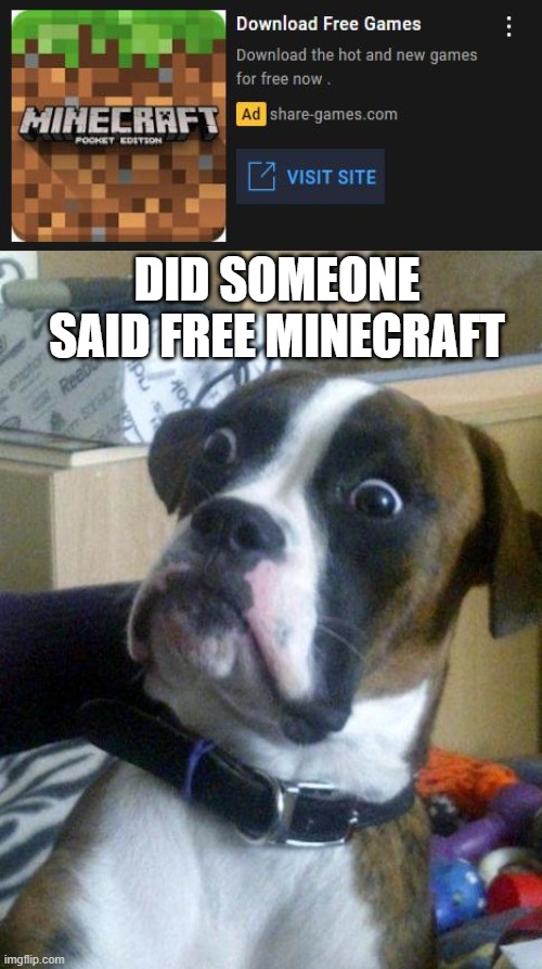 5 year olds everytime they get a fake minecraft ad | DID SOMEONE SAID FREE MINECRAFT | image tagged in suprised boxer | made w/ Imgflip meme maker