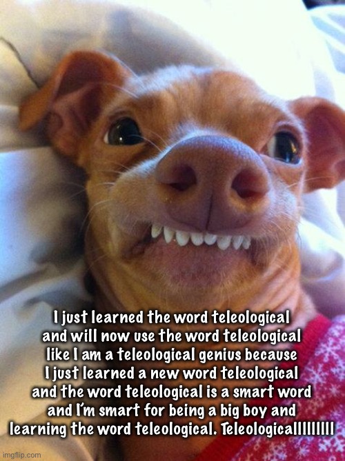 Overbite Dog | I just learned the word teleological and will now use the word teleological like I am a teleological genius because I just learned a new word teleological and the word teleological is a smart word and I’m smart for being a big boy and learning the word teleological. Teleologicalllllllll | image tagged in overbite dog | made w/ Imgflip meme maker