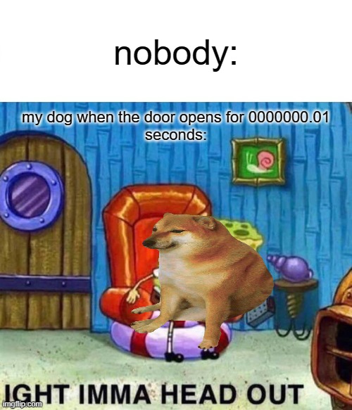 dogs when they get infinite food, love, care, and water | nobody:; my dog when the door opens for 0000000.01
seconds: | image tagged in dogs,memes,spongebob ight imma head out,so true meme,cheems,oh wow are you actually reading these tags | made w/ Imgflip meme maker
