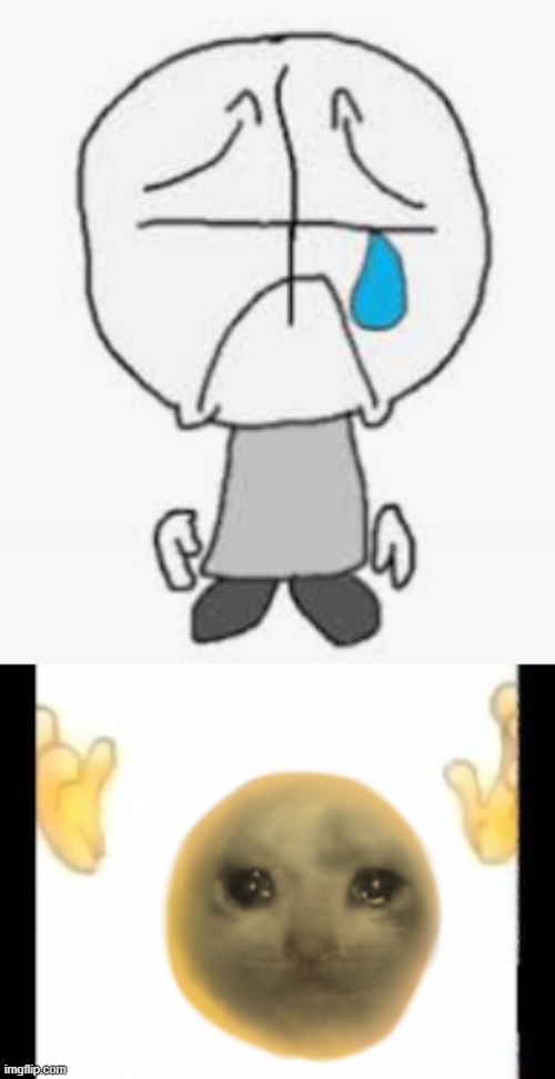 image tagged in sadness combat hd,cursed crying cat emoji | made w/ Imgflip meme maker