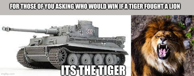tiger vs lion | FOR THOSE OF YOU ASKING WHO WOULD WIN IF A TIGER FOUGHT A LION; ITS THE TIGER | image tagged in memes | made w/ Imgflip meme maker