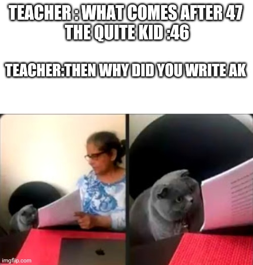 AK 47 | TEACHER : WHAT COMES AFTER 47 
THE QUITE KID :46; TEACHER:THEN WHY DID YOU WRITE AK | image tagged in cat looking at test | made w/ Imgflip meme maker