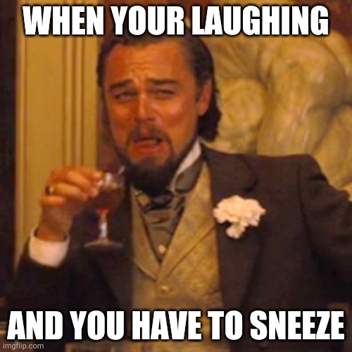 Laughing Leo | WHEN YOUR LAUGHING; AND YOU HAVE TO SNEEZE | image tagged in memes,laughing leo | made w/ Imgflip meme maker