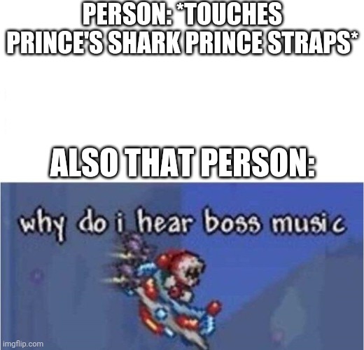 why do i hear boss music | PERSON: *TOUCHES PRINCE'S SHARK PRINCE STRAPS*; ALSO THAT PERSON: | image tagged in why do i hear boss music | made w/ Imgflip meme maker
