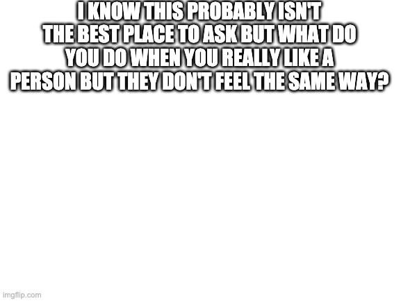 Blank White Template | I KNOW THIS PROBABLY ISN'T THE BEST PLACE TO ASK BUT WHAT DO YOU DO WHEN YOU REALLY LIKE A PERSON BUT THEY DON'T FEEL THE SAME WAY? | image tagged in blank white template | made w/ Imgflip meme maker