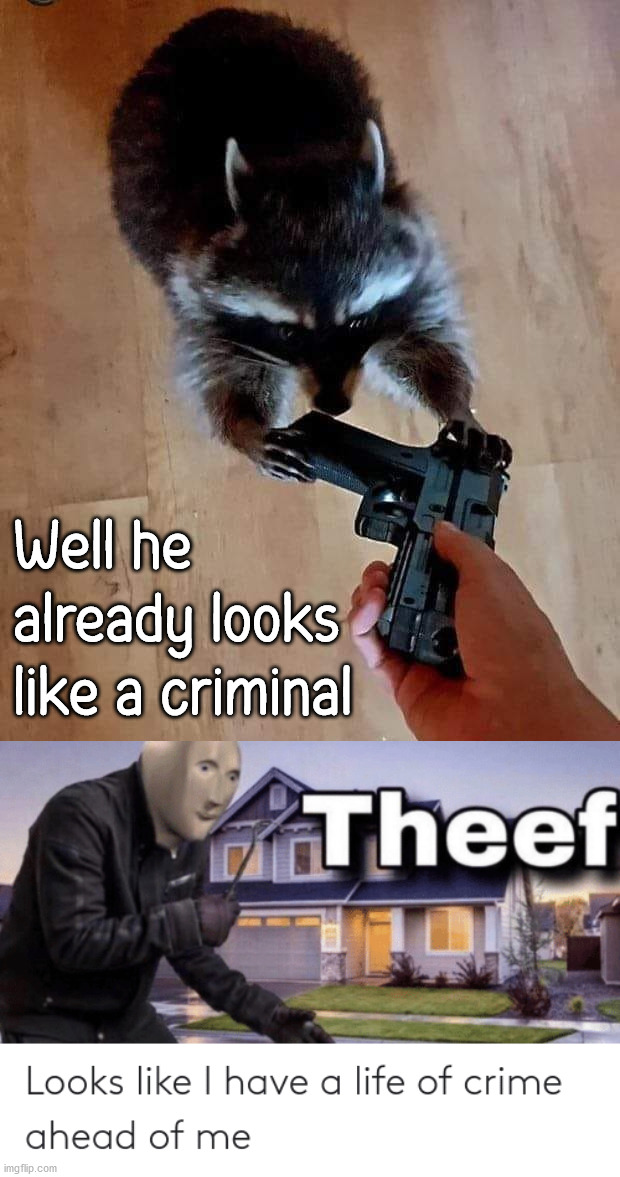 I already have a mask, might as well commit a crime. |  Well he already looks like a criminal | image tagged in thief,raccoon,criminal,mask | made w/ Imgflip meme maker