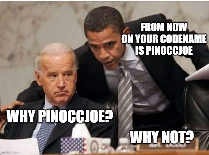 Biden and Obama | FROM NOW ON YOUR CODENAME IS PINOCCJOE; WHY PINOCCJOE? WHY NOT? | image tagged in biden and obama | made w/ Imgflip meme maker