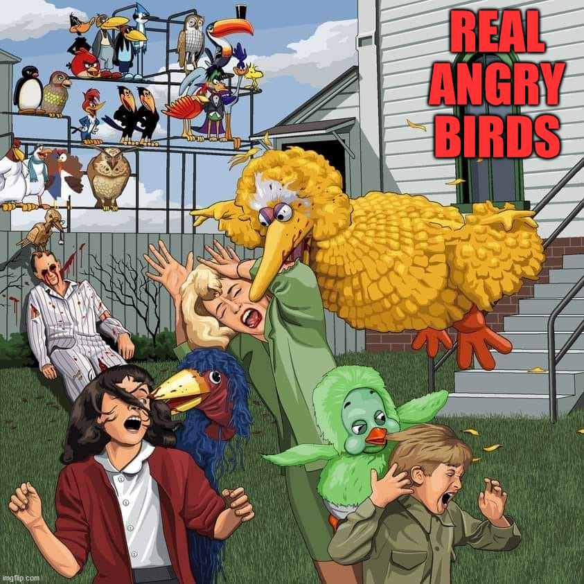 REAL ANGRY BIRDS | image tagged in dark humor | made w/ Imgflip meme maker