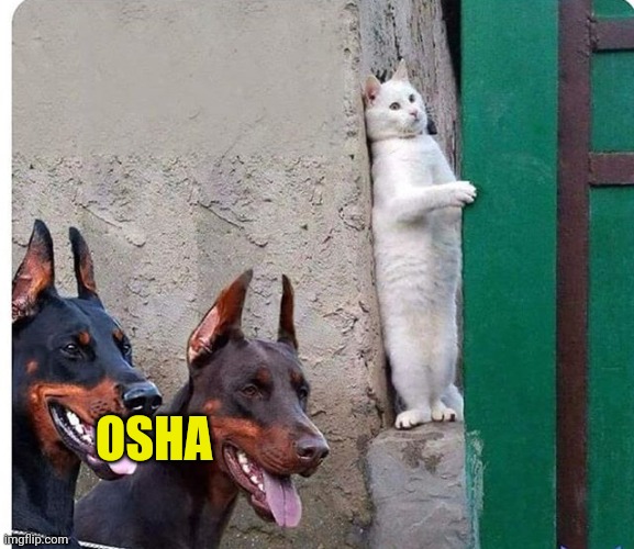 Another day avoiding these assholes. | OSHA | image tagged in memes | made w/ Imgflip meme maker