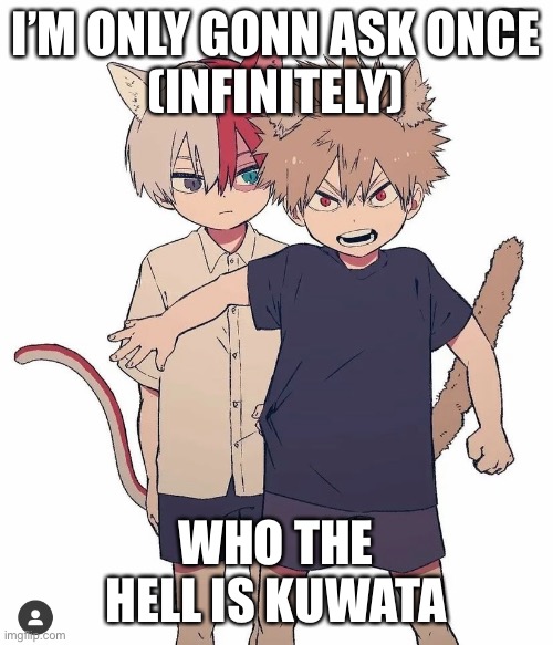 I’M ONLY GONN ASK ONCE
(INFINITELY); WHO THE HELL IS KUWATA | made w/ Imgflip meme maker