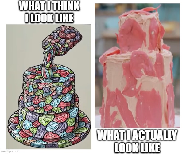 ThinkVsReality | WHAT I THINK I LOOK LIKE; WHAT I ACTUALLY
LOOK LIKE | image tagged in think vs actually,bakeoff | made w/ Imgflip meme maker