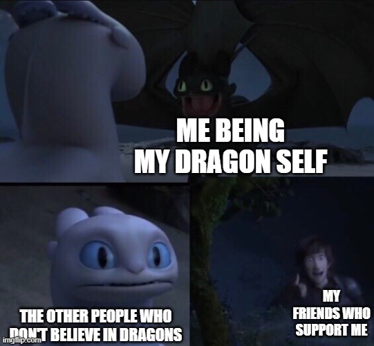 Da dragons do be real | ME BEING MY DRAGON SELF; MY FRIENDS WHO SUPPORT ME; THE OTHER PEOPLE WHO DON'T BELIEVE IN DRAGONS | image tagged in how to train your dragon 3 | made w/ Imgflip meme maker