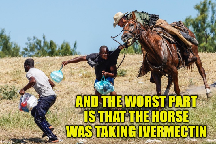Whipping? | AND THE WORST PART IS THAT THE HORSE WAS TAKING IVERMECTIN | image tagged in secure the border | made w/ Imgflip meme maker
