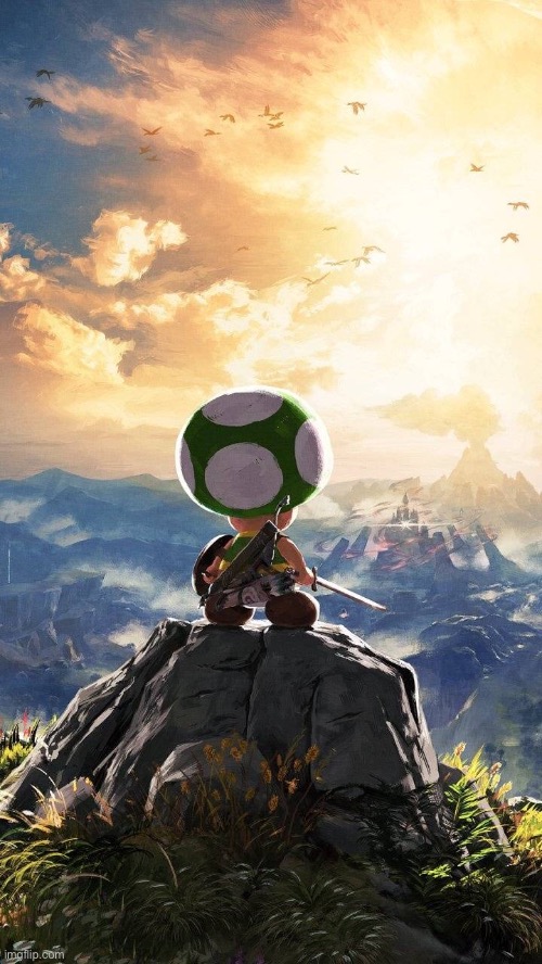 It’s toad | image tagged in toad,cursed image,the legend of zelda | made w/ Imgflip meme maker
