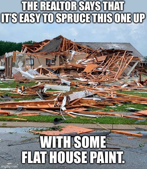 Fixer-upper | THE REALTOR SAYS THAT IT’S EASY TO SPRUCE THIS ONE UP; WITH SOME FLAT HOUSE PAINT. | image tagged in bad pun | made w/ Imgflip meme maker