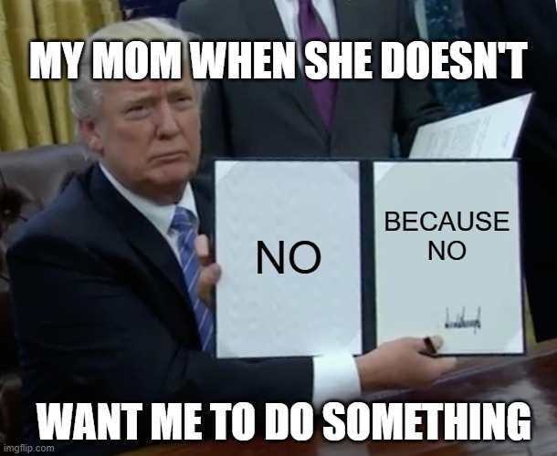 My moms reasons | MY MOM WHEN SHE DOESN'T; NO; BECAUSE NO; WANT ME TO DO SOMETHING | image tagged in memes | made w/ Imgflip meme maker