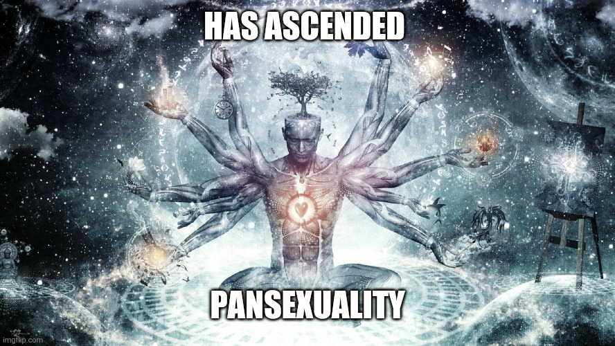 Ascendant human | HAS ASCENDED PANSEXUALITY | image tagged in ascendant human | made w/ Imgflip meme maker