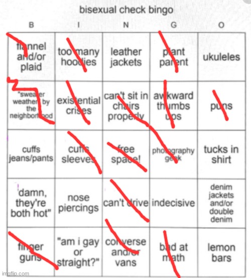 Bisexual Bingo | image tagged in bisexual bingo | made w/ Imgflip meme maker