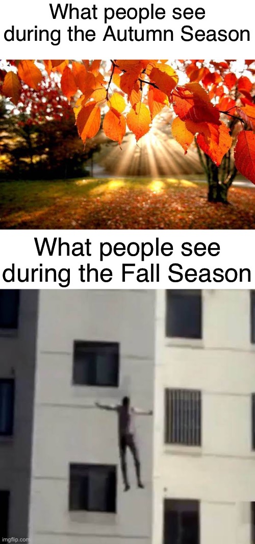 Fall | What people see during the Autumn Season; What people see during the Fall Season | made w/ Imgflip meme maker
