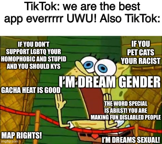 Tiktok in a nutshell | TikTok: we are the best app everrrrr UWU! Also TikTok:; IF YOU PET CATS YOUR RACIST; IF YOU DON’T SUPPORT LGBTQ YOUR HOMOPHOBIC AND STUPID AND YOU SHOULD KYS; I’M DREAM GENDER; GACHA HEAT IS GOOD; THE WORD SPECIAL IS ABILST! YOU ARE MAKING FUN DISLABLED PEOPLE; MAP RIGHTS! I’M DREAMS SEXUAL! | image tagged in yelling spongebob | made w/ Imgflip meme maker