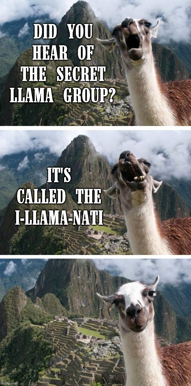 llama | DID YOU HEAR OF THE SECRET LLAMA GROUP? IT'S CALLED THE I-LLAMA-NATI | image tagged in llama,eyeroll | made w/ Imgflip meme maker