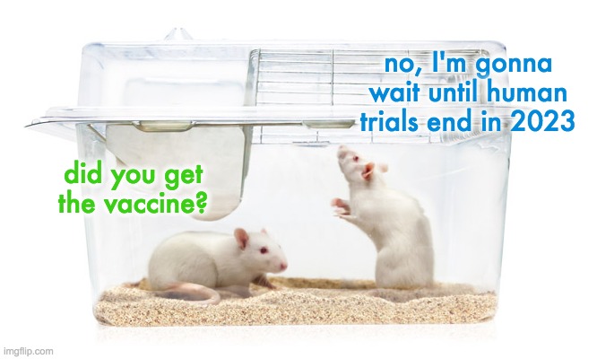 Moderna (Oct 27 '22) Johnson&Johnson (Jan 2 '23) Pfizer (Apr 6 '23) | no, I'm gonna wait until human trials end in 2023; did you get the vaccine? | image tagged in covid-19,vaccines | made w/ Imgflip meme maker