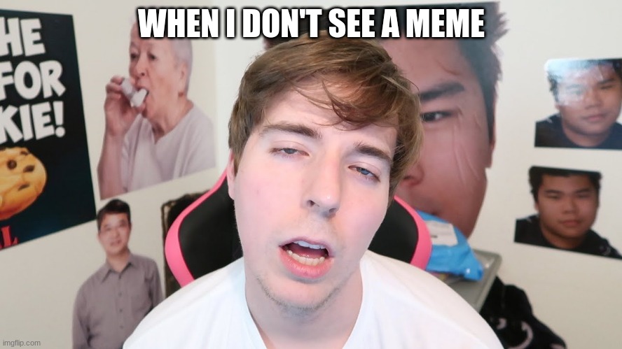 Stressed & Tired Mr. Beast | WHEN I DON'T SEE A MEME | image tagged in stressed tired mr beast | made w/ Imgflip meme maker