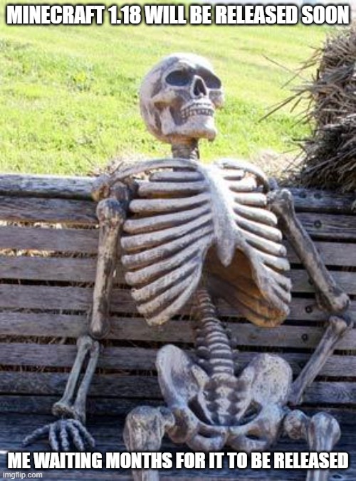 Minecraft 1.18 | MINECRAFT 1.18 WILL BE RELEASED SOON; ME WAITING MONTHS FOR IT TO BE RELEASED | image tagged in memes,waiting skeleton | made w/ Imgflip meme maker