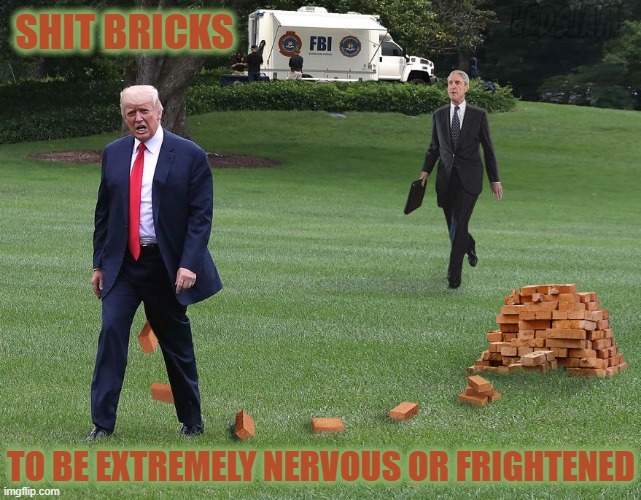 SHIT A BRICK | SHIT BRICKS; TO BE EXTREMELY NERVOUS OR FRIGHTENED | image tagged in nervous,frightened,scared,trouble,shit,bricks | made w/ Imgflip meme maker