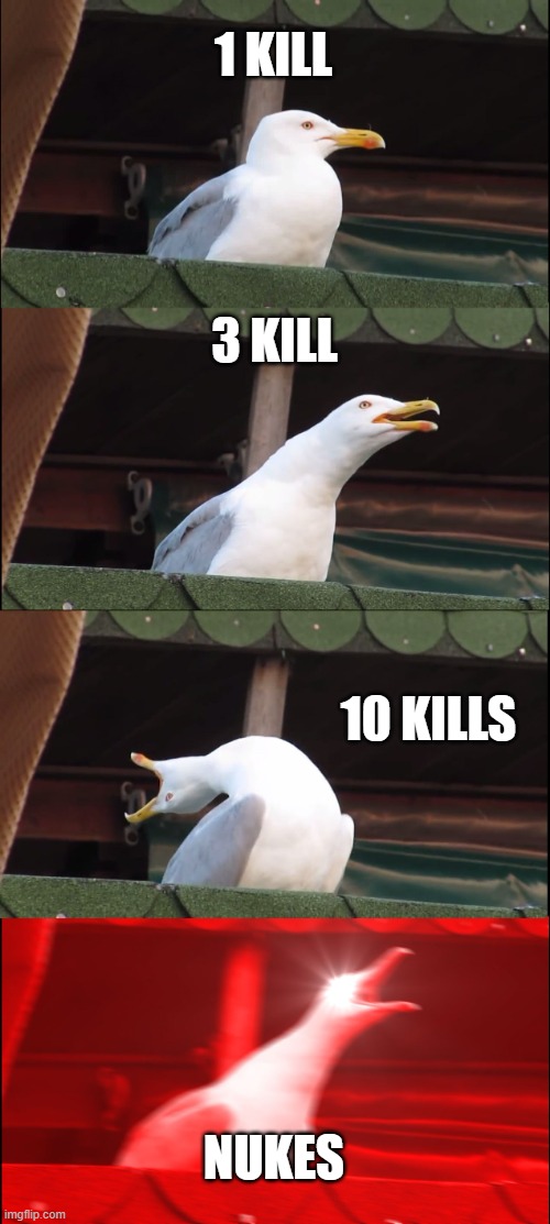 Inhaling Seagull | 1 KILL; 3 KILL; 10 KILLS; NUKES | image tagged in memes,inhaling seagull | made w/ Imgflip meme maker
