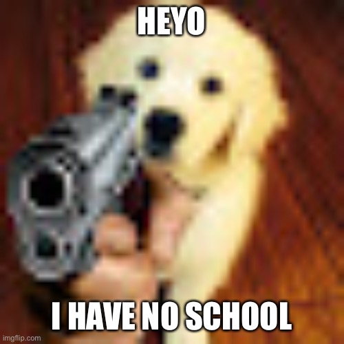 Dog gun | HEYO; I HAVE NO SCHOOL | image tagged in dog gun | made w/ Imgflip meme maker