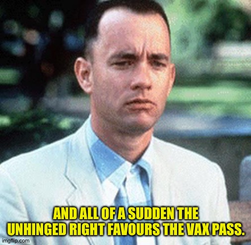 forrest gump | AND ALL OF A SUDDEN THE UNHINGED RIGHT FAVOURS THE VAX PASS. | image tagged in forrest gump | made w/ Imgflip meme maker