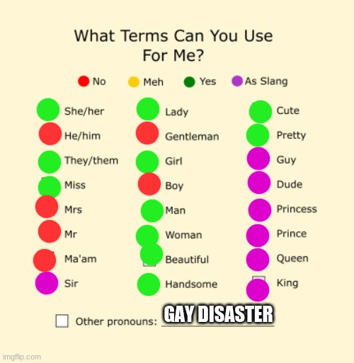 Pronouns Sheet | GAY DISASTER | image tagged in pronouns sheet | made w/ Imgflip meme maker