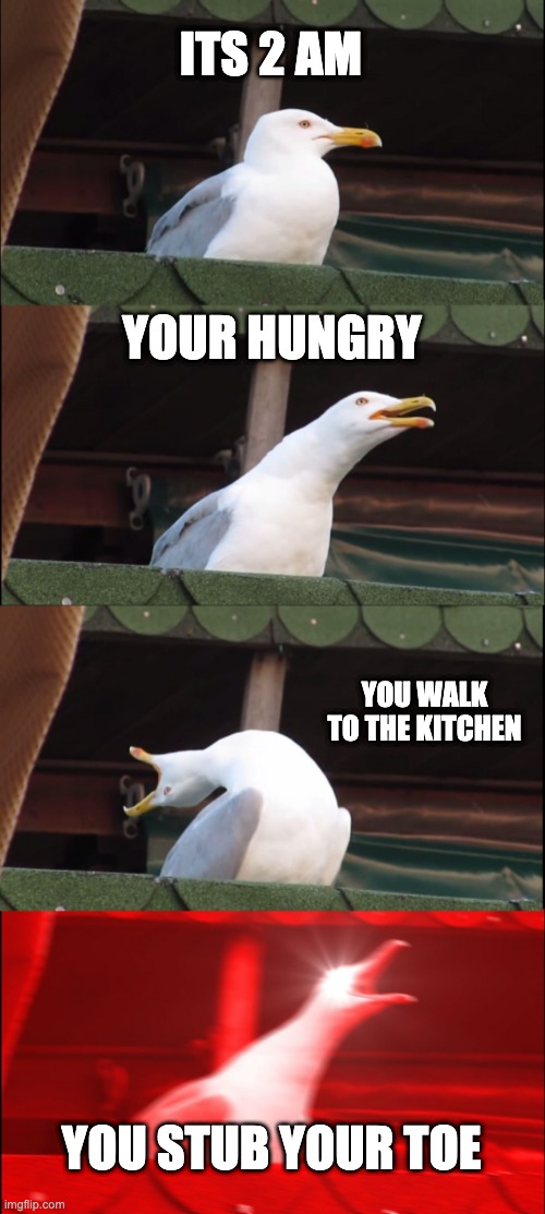 meme2 | ITS 2 AM; YOUR HUNGRY; YOU WALK TO THE KITCHEN; YOU STUB YOUR TOE | image tagged in memes,inhaling seagull | made w/ Imgflip meme maker