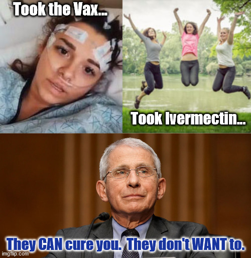Took the Vax... Took Ivermectin... They CAN cure you.  They don't WANT to. | made w/ Imgflip meme maker
