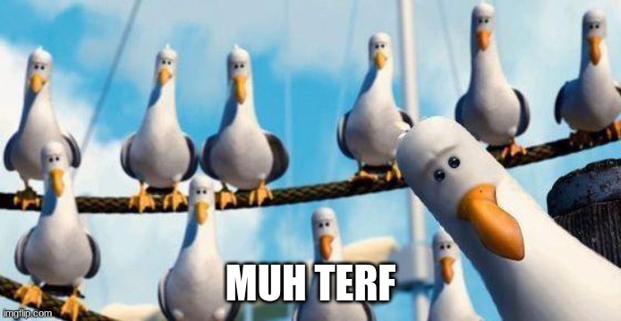 Nemo Birds | MUH TERF | image tagged in nemo birds | made w/ Imgflip meme maker