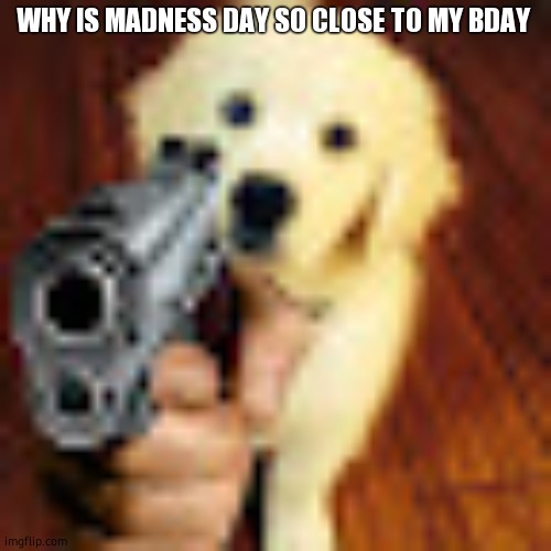Dog gun | WHY IS MADNESS DAY SO CLOSE TO MY BDAY | image tagged in dog gun | made w/ Imgflip meme maker