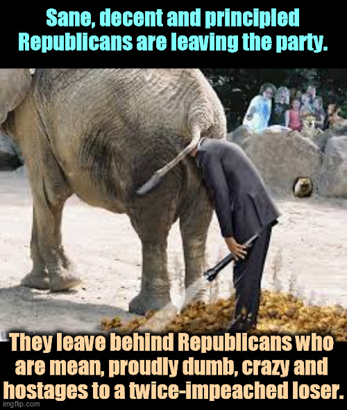 GOP fail! | Sane, decent and principled Republicans are leaving the party. They leave behind Republicans who 
are mean, proudly dumb, crazy and 
hostages to a twice-impeached loser. | image tagged in a republican in search of ideas - elephant flashlight,republicans,mean,stupid,proud,crazy | made w/ Imgflip meme maker