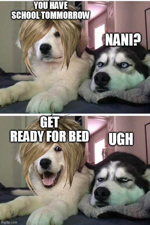 Bska | YOU HAVE SCHOOL TOMMORROW; NANI? GET READY FOR BED; UGH | image tagged in bad puns,school | made w/ Imgflip meme maker